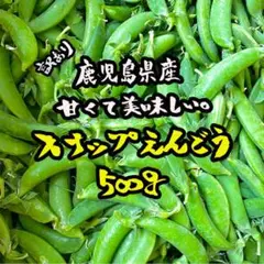 甘さ◎鹿児島産 スナップえんどう 500g 美味しい スナップエンドウ