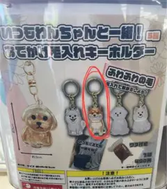 いつもわんちゃんと一緒！おでかけ毛入れキーホルダー