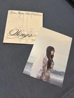 Item thumbnail for item 13aec543-0f8e-484a-885b-fe9e07633a7f