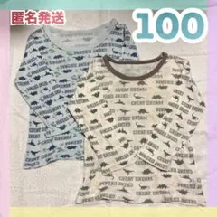 Item thumbnail for item 4156a5b8-da41-4743-bac6-f98c64ab45b4