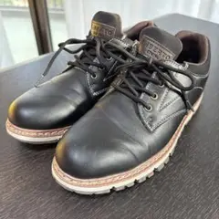 エドウィン　黒　25.0センチ　おまけ付き