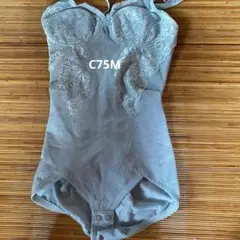 Item thumbnail for item c55ec9da-997d-4f96-b209-e597a155763d