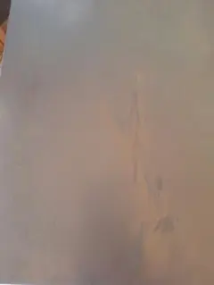 J様ご確認専用