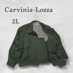 Carvinia-Lozza シルク100 絹 スタンドカラージャケット　日本製