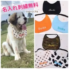 Item thumbnail for item 56a7074d-6a8b-4457-a136-f49056940270