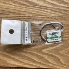Item thumbnail for item 585957e4-6f7a-4008-ba17-e333433af485