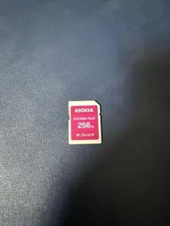 KIOXIA EXCERIA PLUS 256GB SDカード