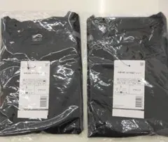 WORKMAN　氷撃冷感-10℃半袖Tシャツ　２枚セット　サイズ Ｌ