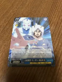 ヴァイス 天候操作 ウェザー・R&W・R ジョジョ　ストーンオーシャン