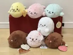しろたん　ぬいぐるみ　７個