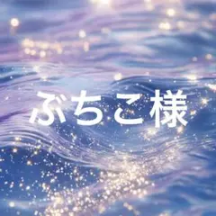 専用です。