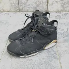 Nike Air Jordan 6 DMP ナイキ ジョーダン