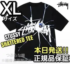 ステューシー SHATTERED TEE XL ブラック