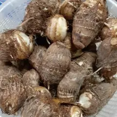 新潟県産 里芋
