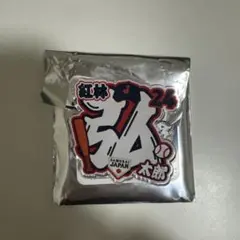 シークレットアクリルネームバッジ 紅林弘太郎