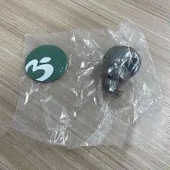 Mrs.GREEN APPLE 一番くじ　シークレット　C賞　大森元貴