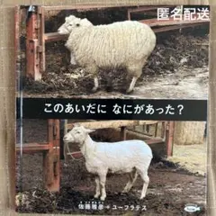 【中古】　絵本　このあいだに なにがあった?