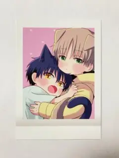 誰か夢だと言ってくれ ぱしゃこれ 小夜 樹