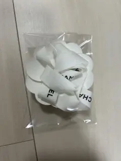 Item thumbnail for item dfd4b2c5-4351-4e40-baad-0e900985f410