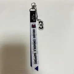 北海道コンサドーレ札幌 ボンフィン パクミンギュ
