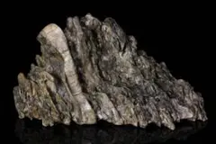 Item thumbnail for item be274721-8bcc-4584-9da9-9a2ce7e700ed