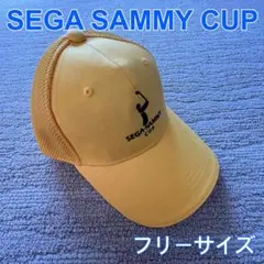 m86286352321_1.jpg?1723123901