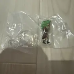 ワンピの実　バルトロメオ