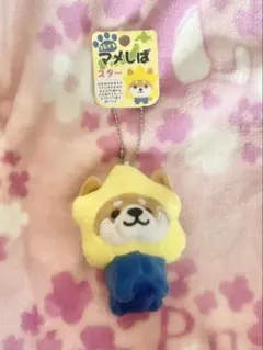 旅するマメしば　まめた×スター　スターバージョン マスコット