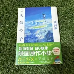 新品⭐︎天気の子 新海誠 小説