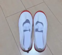 上履き24.5
