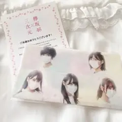 【レア物】欅坂46 マスクケース 三次元マスク
