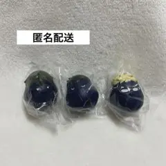 ハイキュー アニマルミニソフビ 月島 影山 山口