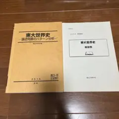 駿台 東大世界史論述対策 書き込みなし 2024 通年 017S0D 駿台 京都大学 世界史論述(京大) テキスト 2022 通年 020S0D