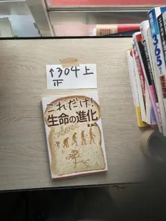 これだけ!生命の進化