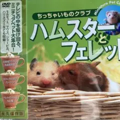 ハムスターとフェレット ちっちゃいものクラブ Miniature Pet Co…