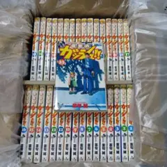 金色のガッシュ 33冊 全巻セット