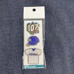 健大高崎　ピンバッジ