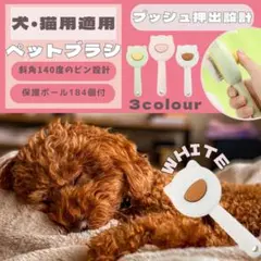 Item thumbnail for item 17c6956c-e4b9-43af-a1bf-034e01224a4e