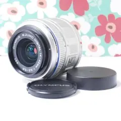 Item thumbnail for item bddf7f4d-4907-468d-a865-830e1ccde070