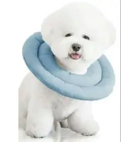 Item thumbnail for item 5f05e5ef-9d48-4fcd-9d5c-ee0ccad75db6