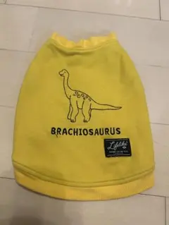 Item thumbnail for item 57dd8923-9eab-4006-b748-c739ac916ef9