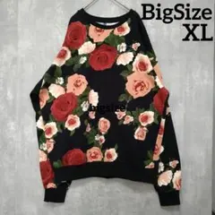 Item thumbnail for item 6cf28309-02ba-4e50-933e-b4f9bc89dcd2