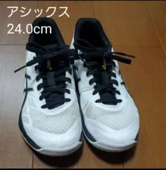アシックス バレーボールシューズ 24.0cm