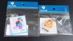 ファイターズ　伊藤 大海　アクリルキーホルダー　2種　アクキー
