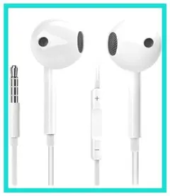 Item thumbnail for item f113f6bb-1988-4b15-b431-ec3ffaa330ec