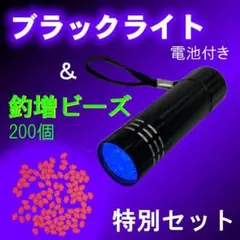 【ブラックライトu0026釣増ビーズ】蓄光ビーズ+UVライト<電池付き> 3AIG3