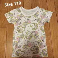 Item thumbnail for item 1d3aa7bf-7252-49a5-bf86-81b616593cb9