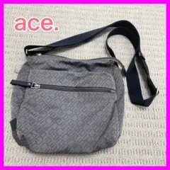 綺麗❤️ace. ショルダーバッグ 肩掛け 斜めがけ ナイロン ポケット沢山