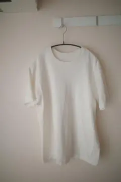 Hanes shiro パックT