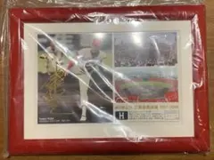 広島東洋カープ　津田恒実　広島市民球場　メモリアルフレーム　シリアル付